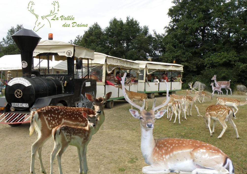 De La Normandie Bed and breakfast Junhac
