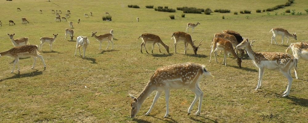 De La Normandie Bed and breakfast